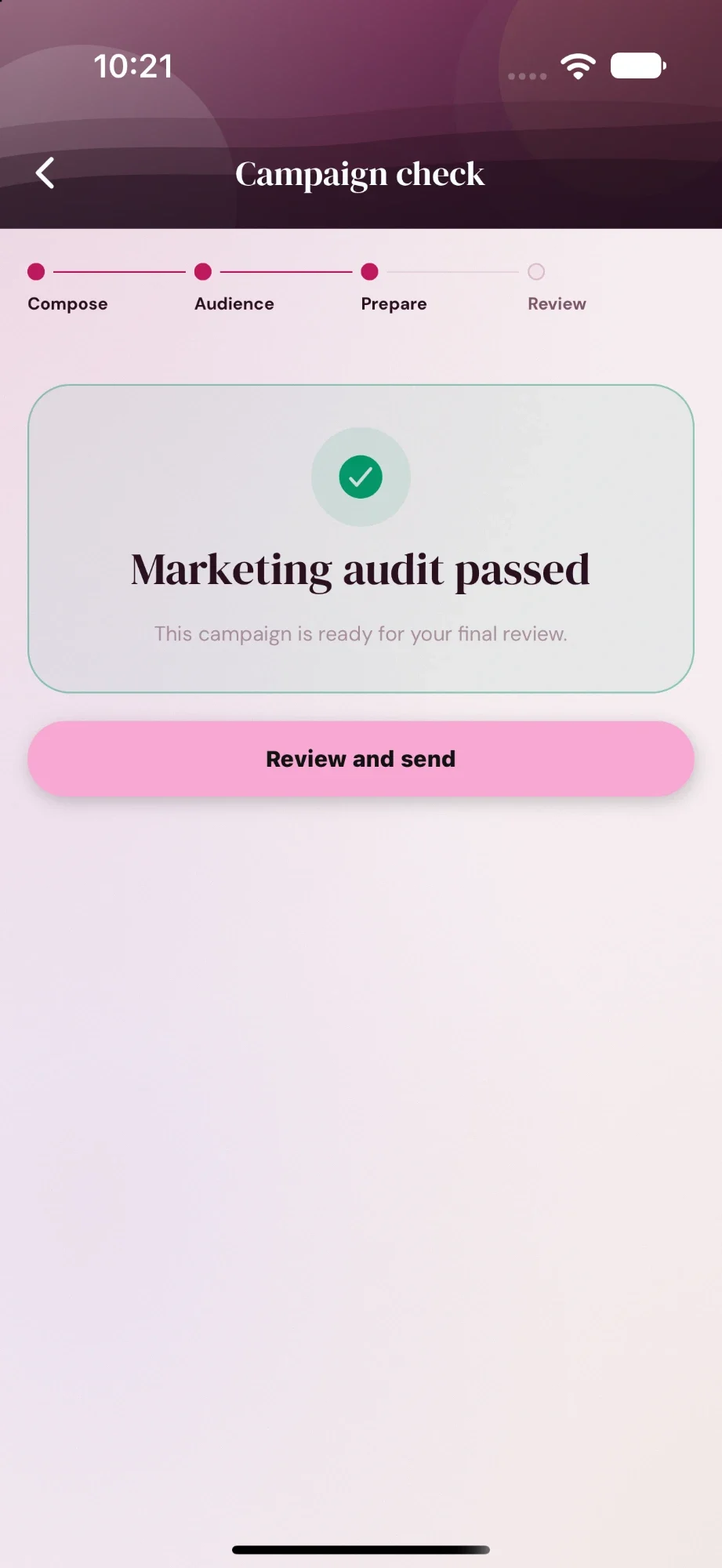 Campaign check: Marketing audit passed. This campaign is ready for your final review.