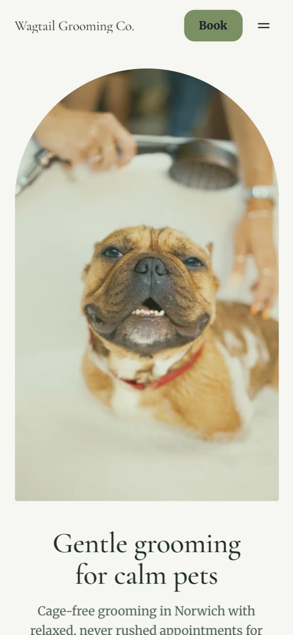 Wagtail Grooming Co., a booking site built by the AI builder